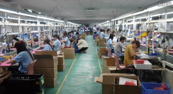 農(nóng)村創(chuàng)業(yè)新路徑 農(nóng)副產(chǎn)品開(kāi)發(fā)與技術(shù)服務(wù)的雙輪驅(qū)動(dòng)